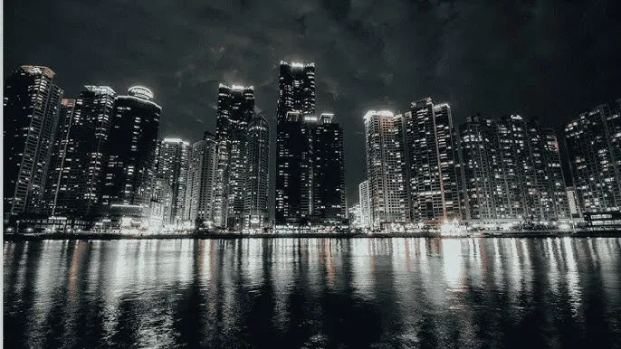 永久免费的网站观看 - 城市之光：霓虹背后的人间烟火